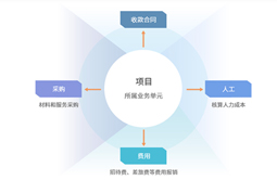项目管理软件如何帮助企业完成IPO审计？